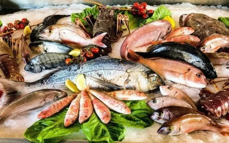 أسعار الأسماك الخميس 26 فبراير تتفاوت بين الأنواع في الأسواق